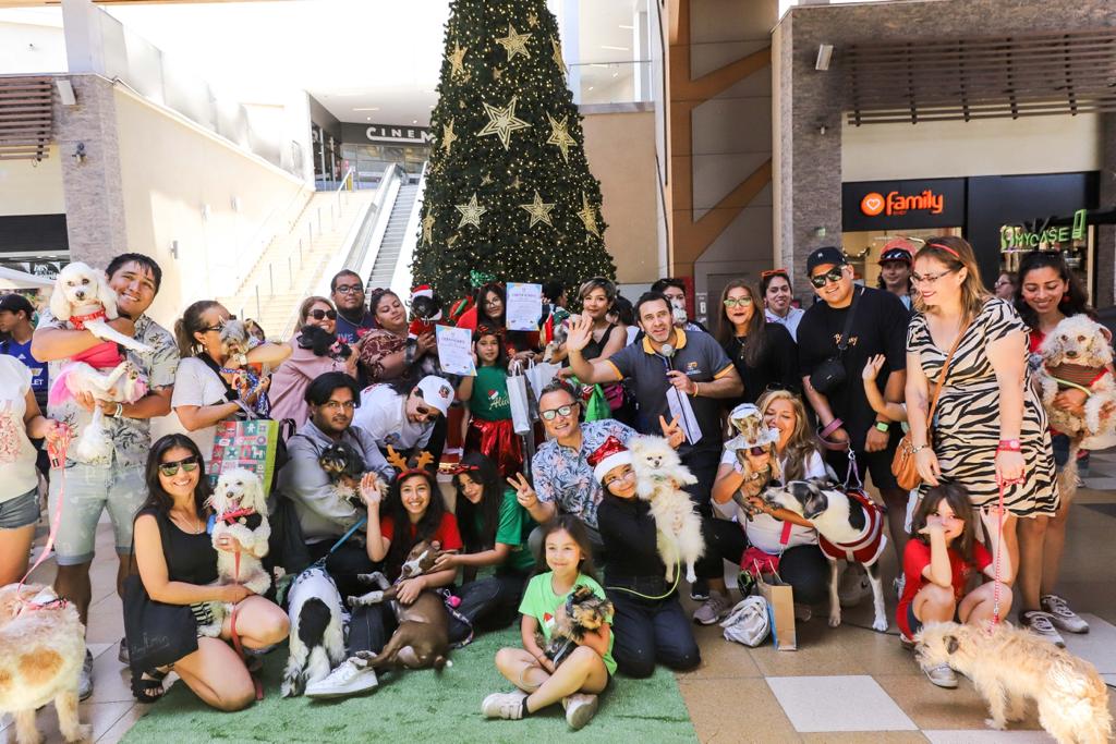 Participantes desfile canino.JPG
